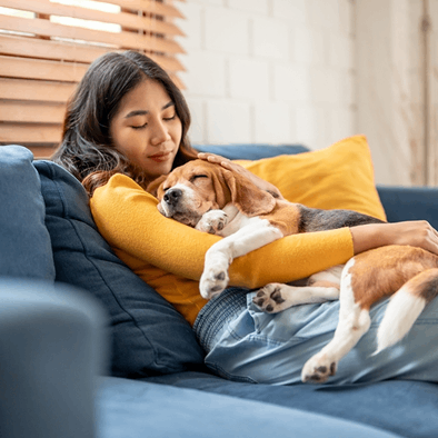 Animal & Pets